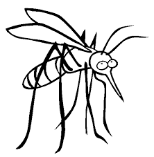 Select from 35915 printable coloring pages of cartoons, animals, nature, bible and many more. Mosquito Coloring Page Mosquito Free Printable Coloring Pages Animals Coloring Pages Mosquito Animal Coloring Books