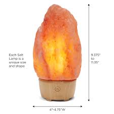 Ripe, red rhubarb stalks are nontoxic, but the leaves and green stalks are poisonous to both animals and humans. Ihome Zenergy Salt Rock Lamp Meditative Light And Sound Therapy Salt Rock Genuine Himalayan Salt Lamp Speaker Calming Soothing Sleep Easy Crystal Large Salt Rock Lamp Walmart Com Walmart Com
