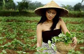 Jenis usaha yang dapat dilakukan di desa tentunya berbeda dengan di kota. 10 Peluang Usaha Di Desa Yang Menjanjikan Dan Patut Dicoba