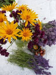 Nachrichten senden und empfangen kannst. Sonnenhut Und Lavendel Vorgarten Deko Lavendel