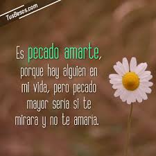 Pin On Frases De Amor