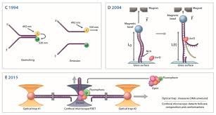 I'm not good at twitter but i try my best. History Of Dna Helicases Abstract Europe Pmc