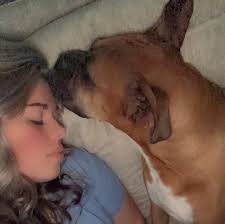 New Bowtie for Hudson 🥰