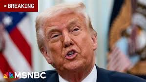 Unpacking the Life Esidimeni Inquest with Chriselda Lewis