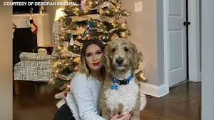 Are you haunted by strange noises and weird odors? Orland Park News Abc7 Chicago