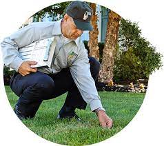 Ultimately, this old house reviews team recommends trugreen for its greater number of comprehensive lawn care programs and its commitment to customer service. Work For Lawn Doctor