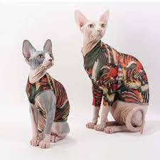 Pin On Popular For Sphynx Cats