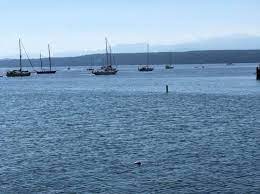 The key to having a fun, memory filled summer is to intentionally plan it! 10 Best Things To Do In Port Townsend With Kids Parentmap