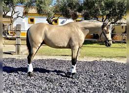 Aus wikipedia, der freien enzyklopädie. 0ag0uspgootlwm