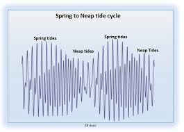 tides marine science australia