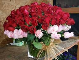 Maybe you would like to learn more about one of these? Sympathy Flowers Diana S Flowers Paramount Ca