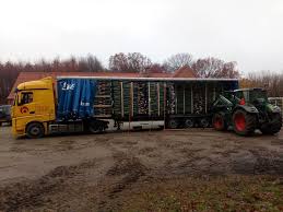 Camioanele pot face livrări eficiente 24 de ore pe zi, indiferent de orele de funcționare ale aeroporturilor, căilor ferate și porturilor. Bontrans Transport Rutier De Marfa