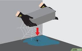 How To Kill Spiders Fast In 3 Easy Steps Pest Wiki