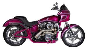 Image result for Bright Victory Red 1994 FXR