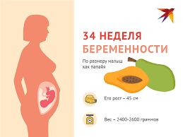 что делать если болит низ живота а месячных нет 34 Nedelya Beremennosti Ot Zachatiya Chto Proishodit S Malyshom I Mamoj Foto Zhivota Uzi Ploda