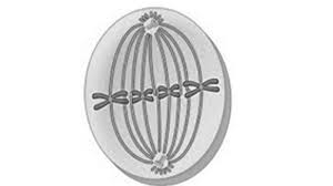 C ) kromosom dikelompokkan selama telofase. Soal Dan Jawaban Pilihan Ganda Kunci Jawaban Nomor 1 Sampai 40 Uas Pas Biologi Sma Kelas 12 Halaman All Tribun Manado