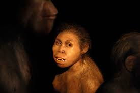 We did not find results for: Mystery Hominin Had Sex With Ancestors Of Neanderthals And Denisovans New Scientist