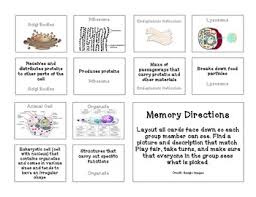 Tap buttons to learn about plant cells, animal cells, and specialized 2. Plants And Animals Cells Game Worksheets Teachers Pay Teachers