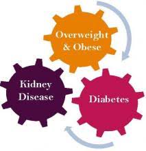 Image result for kidney disease prevention