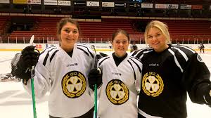 From wikimedia commons, the free media repository. Brynas If Inleder Sasongen Med Derby Mot Leksand If Svt Nyheter