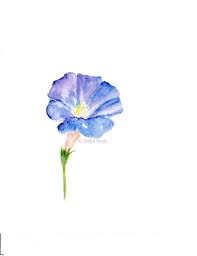 Morning Glory Print Personalized Birth Stats With Birth Month Etsy Morning Glory Tattoo Birth Month Flowers Birth Flower Tattoos