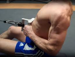 Find rowing machine alternative here Seated Cable Row Exercise Form Guide With Video Pictures