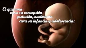 Mais de 20 frases de agosto que passaram por avaliação dos usuários. Frase Para Tu Hoy Lunes 1 De Agosto De 2016 Youtube