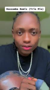 Hoozambe Remix (Trio Mio)