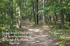 A walk in the woods. Quotes About Peace In The Woods A Walk In The Woods Dogtrainingobedienceschool Com