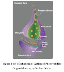 Image result for Phencyclidine