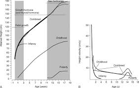 Growth Acceleration An Overview Sciencedirect Topics