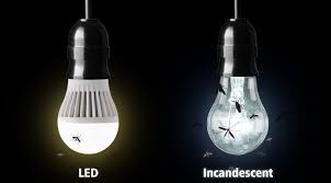 Do Led Lights Attract Bugs Super Bright Leds
