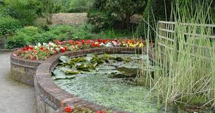 bridgemere garden centre 070608 8 ponds for small gardens water garden garden center