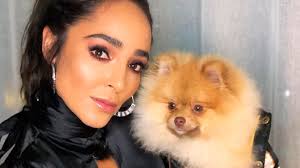 El Intra América Celebrities