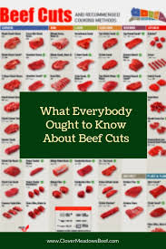 What Everybody Ought To Know About Beef Cuts Clover