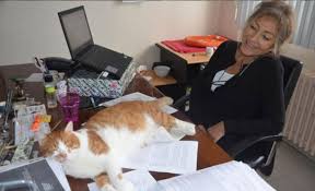 Insanlarda Gorulen Kedi Tirmigi Hastaliginin Nedeni Nedir
