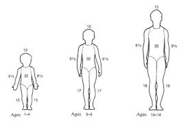 determining total body surface area minnesota dept of health