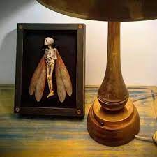 Cursed Items - Dead Fairy Shadow Box Display Wooden Decoration Living Room  Wall Home Decoration Home Decoration Accessories 1pcs