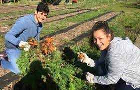 Check spelling or type a new query. Teenagers Can Make A Difference Volunteer Opportunities For Teens In Houston The Buzz Magazines