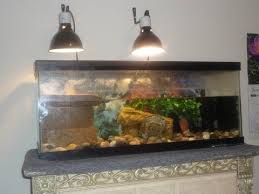 How To Setup The Lights For A Turtle Tank Youtube