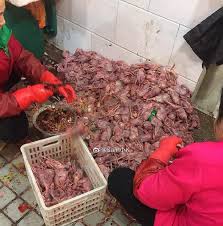 Son Dakika Haberi Her Sey Bu Pazarda Basladi Coronavirus Bu Pazardan Yayildi Son Dakika Milliyet