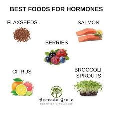 Best Foods For Hormones Good Fats Nutrition Wellness Fatty Fish