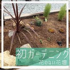 初ガーデニングに挑戦 玄関前の花壇に初ガーデニングを 旦那はよくやってますが私は実は初めて 旦那に教えてもらいながら植えました レッドスターの周りだけロックガーデン風に 旦那のロックガーデンから拝借 笑 植えたのはすべてグリー