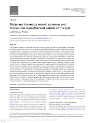 Also known as maize stem borer in. Pdf Maize And The Maize Weevil Advances And Innovations In Postharvest Control Of The Pest