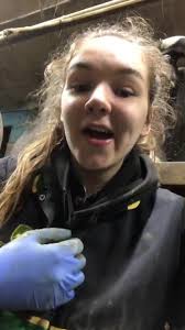 The worlds worst attempt at this😂😂 #fyp #foryoupage