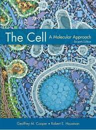 The Cell A Molecular Approach Amazon De Cooper Geoffrey M Hausman Robert E Fremdsprachige Bucher