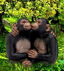 Hugs Of Monkeys On Gifs 18 Cute Animated Images Cute hugging baby monkey love, asian monkey family. of monkeys on gifs 18 cute animated images