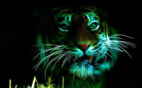 We did not find results for: Green Tiger Wallpapers Group 70