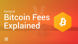 How would the system be able to determine that she has enough bitcoin to execute the transaction and also to ensure she does not double spend that same amount. Does Exodus Have Fees To Send Or Receive Exodus Support