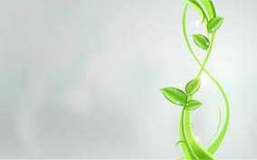 Abstract Green Background Hd Abstract Wallpaper Plant Wallpaper Abstract